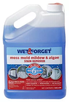 Wet & Forget 800006 Outdoor Moss, Mold, Mildew & Algae Remover, 1 Gall